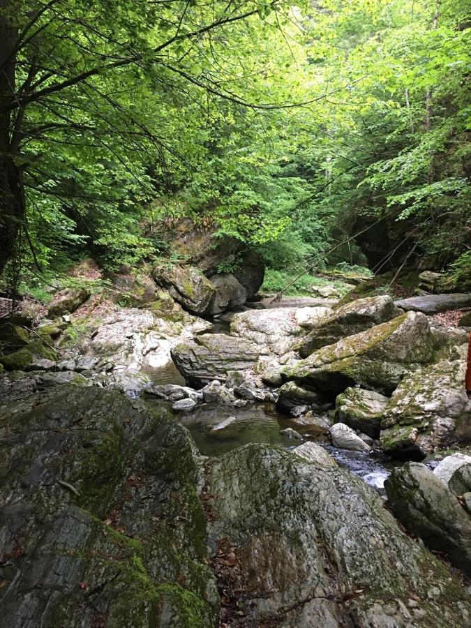 Ferienwohnung Raabklamm Arzberg Exteriér fotografie